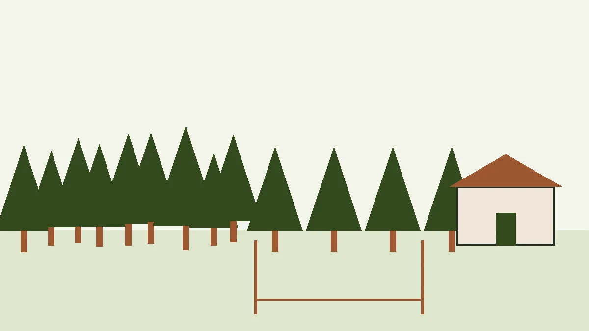 Ilustración de una franja aclarada de pinos entre el bosque y las casas de una urbanización