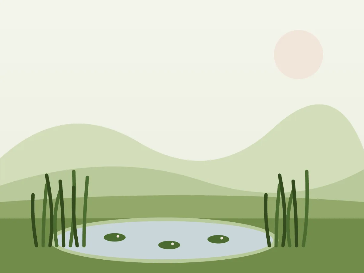 Ilustración de una piscina natural con zona de baño y zona de plantas acuáticas junto a un jardín con encinas