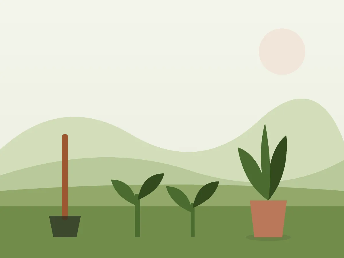Ilustración de un jardín mediterráneo con un seto mixto, arbustos en flor y un árbol joven recién plantado
