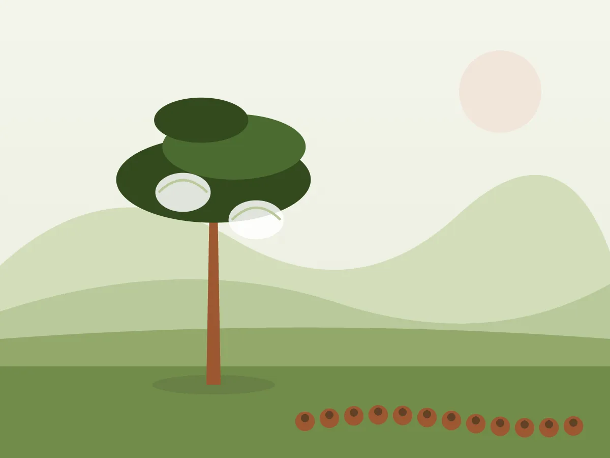 Ilustración de un pino en un jardín con bolsones blancos de procesionaria en las ramas altas